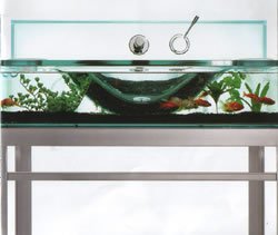 Bathroom Suites, Bathroom Sinks, Bathroom Design, Bathroom Fixtures, Plumbing Fixtures, Bath Accessories, Bathroom Toilets