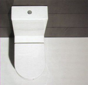 Axa Vaso Close Coupled Toilets