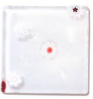 Like Boemia Glass Tiles