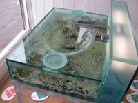 Customer Feedback, Customer Reviews